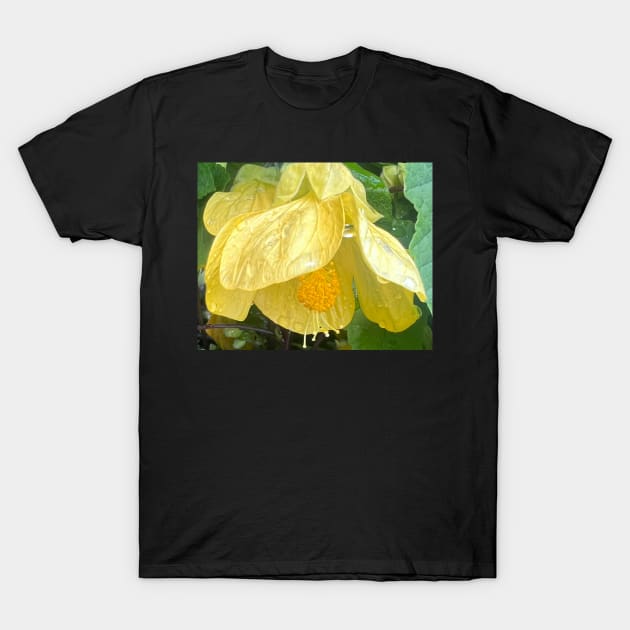 Yellow Flowering Maple...We are made to Open in Love T-Shirt by Photomersion